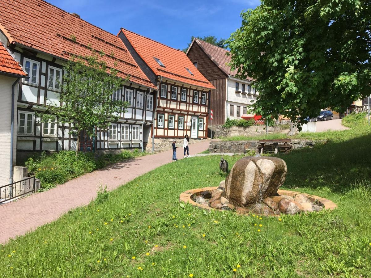 Ferienwohnung Harzblick 1 Braunlage Exteriör bild